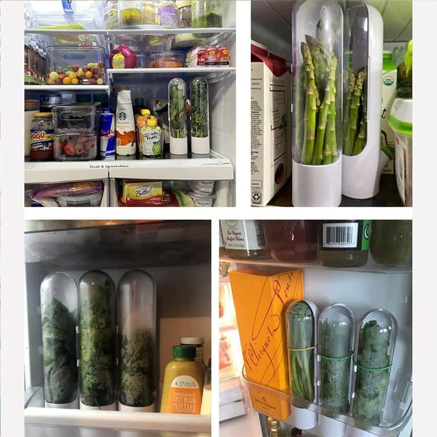 🌿 Zeliščni hranilnik za v hladilnik 🧊